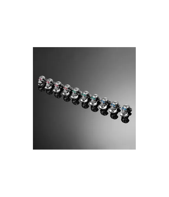 Highway Hawk Šroub M6 - LEBKA, chrom (1ks) 03-103